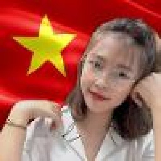 Hoang Phuong Linh bio pic